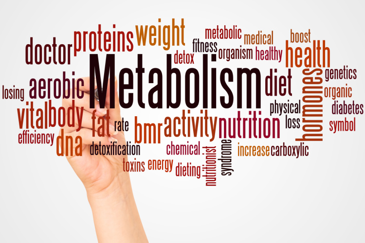 metabolism